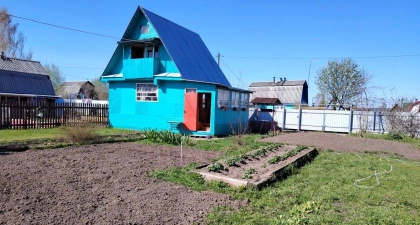 Посыпала на грядку до 1 июля — и луковую муху как ветром сдуло: на луке ни одного желтого перышка не появится за сезон