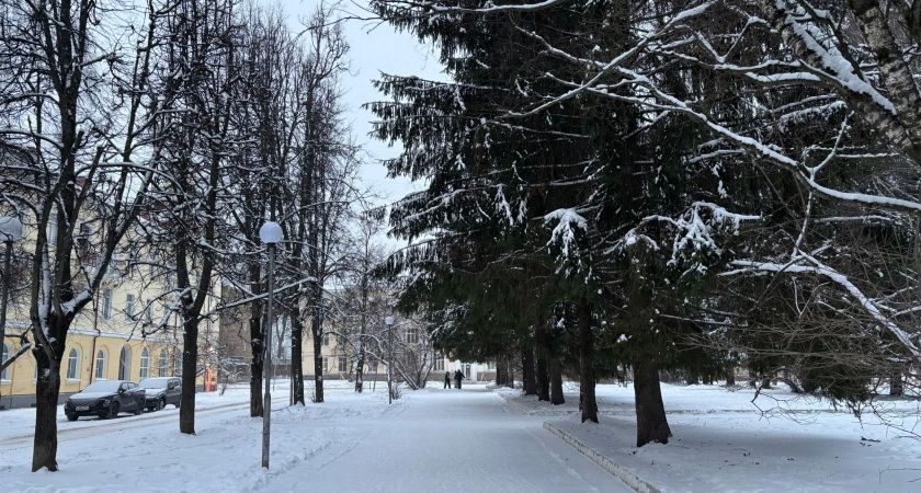 Полный откат к зиме: Гидрометцентр поменял прогноз с 19 мая — вернутся морозы и даже снег
