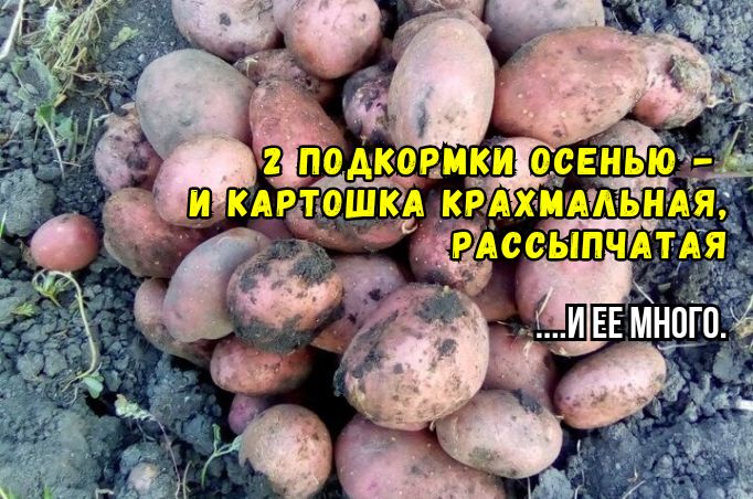     :  