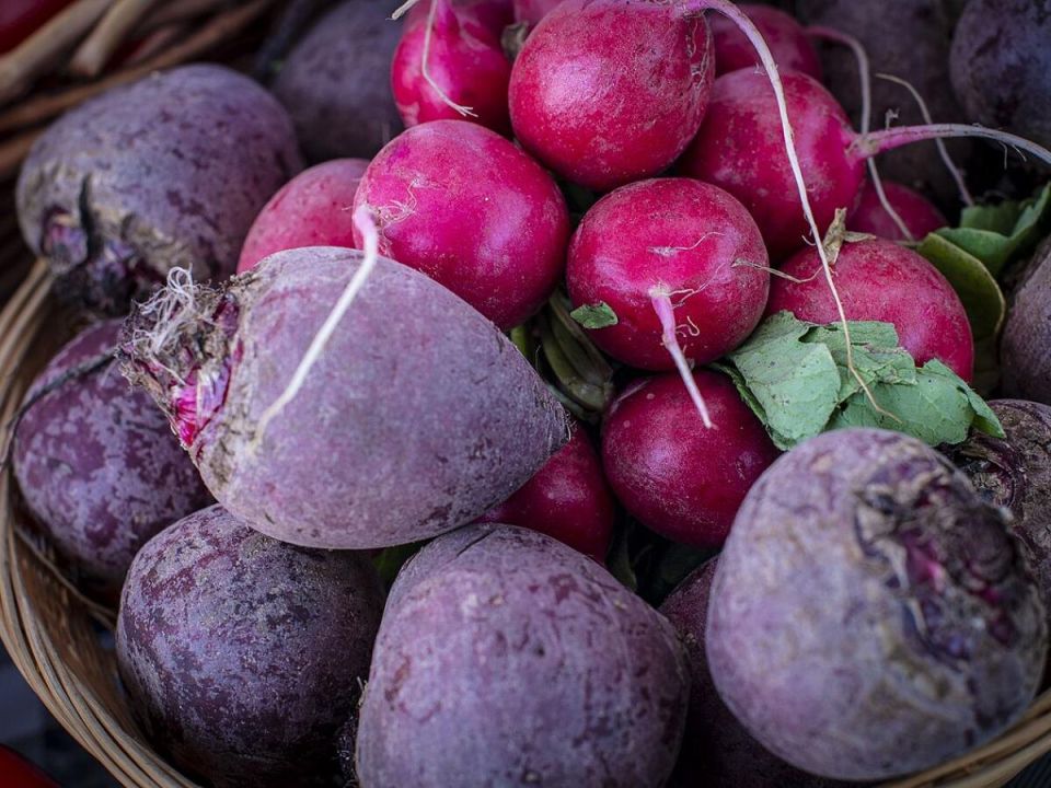 Причины маленькой свеклы и как этого избежать: секреты успешного огорода