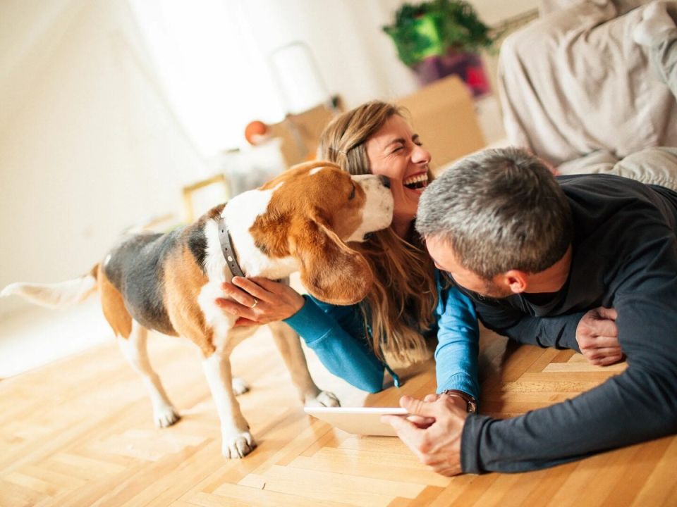 ������������ � ����: ���������� � ������ ����� ��������� �����