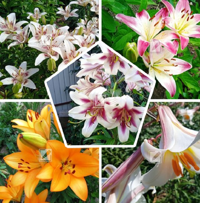 ����� � ����: ������� ������ � ��������� ������ ��� ������ ����