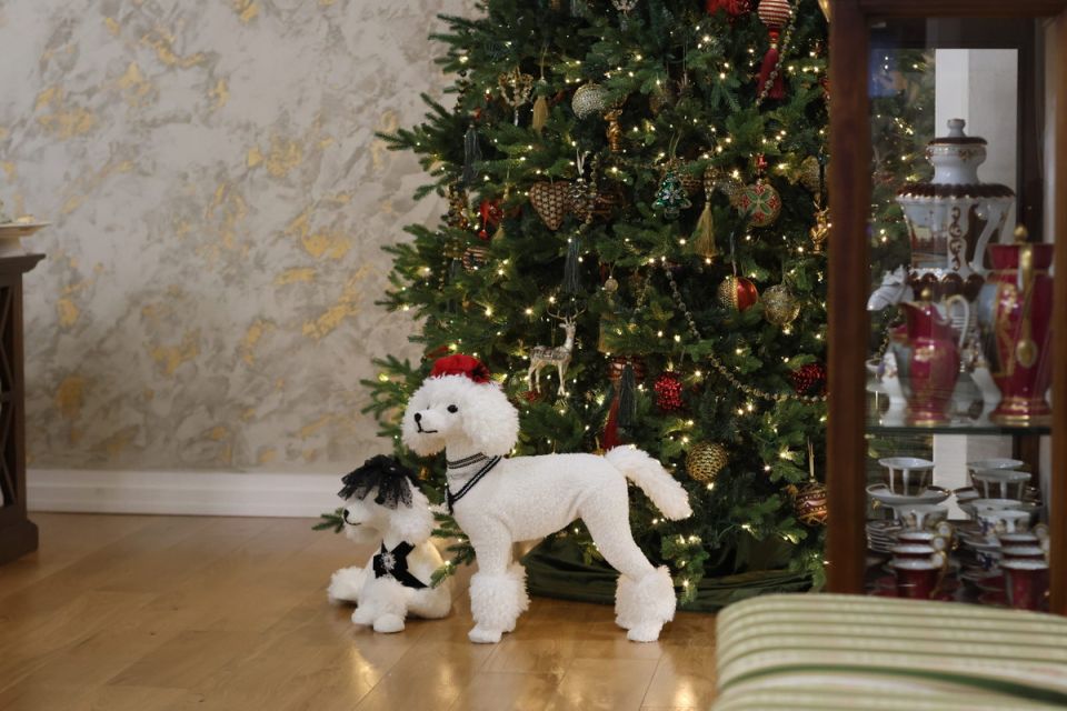 ��� �� ������� ������� �������������� ������� � ������ ����: ������ ������