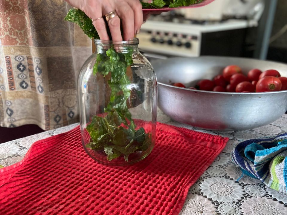 ��������������� ������ ������������ ���������: �������, ������� ������ ���� �����