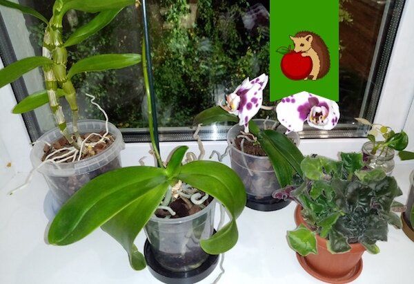 �������� ��������: ���� �� ����� �� ���������� ���������� ���� ���!