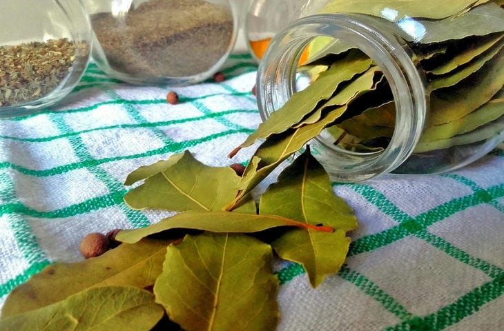 ��� ������ ��� ������ �������� ���� � ����: ��� �� ��� ����