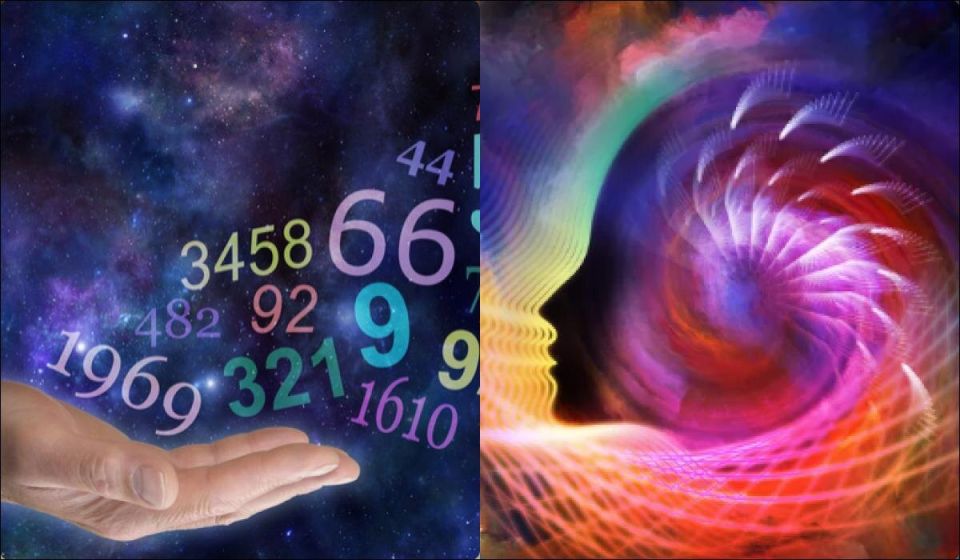 ��� ����� �������� ���������� ���� ����: �������� ������� ������ ���������