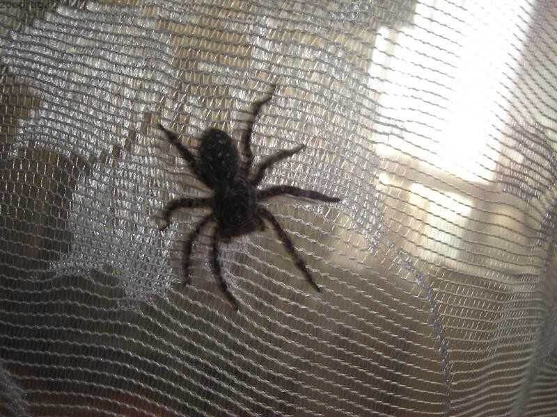 ��� ���������� �� ���������� ������ �� ������������: ������� ������� �� �����