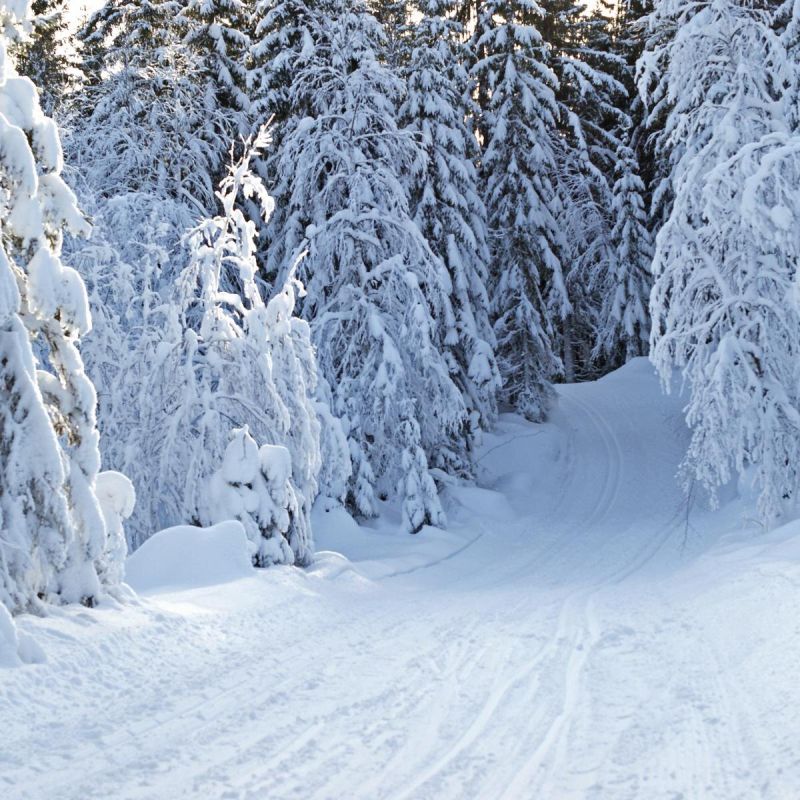 ������ ������: ��������� ������� � ��� � ���� ����������