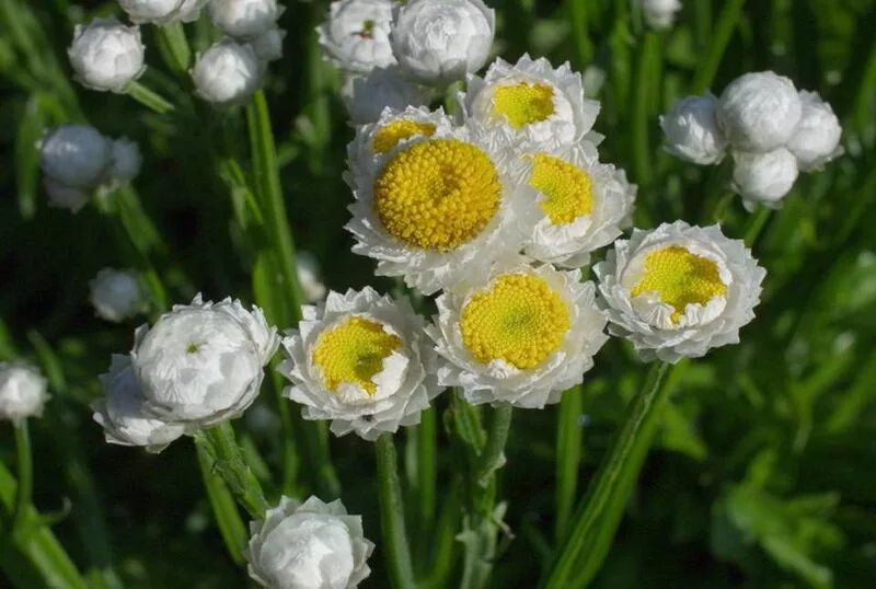 10 ���������� ������������, ������� ����� �������� � ���� ������