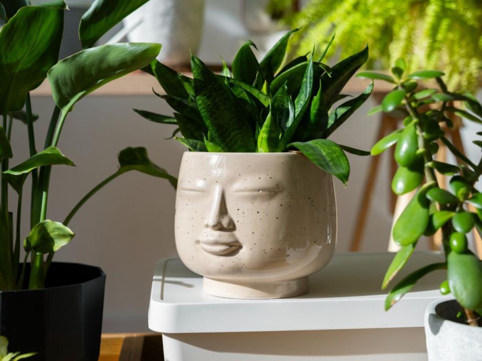 ��� ��������� �������� �������� ������� ��������� ������� � ���� � ������ ������