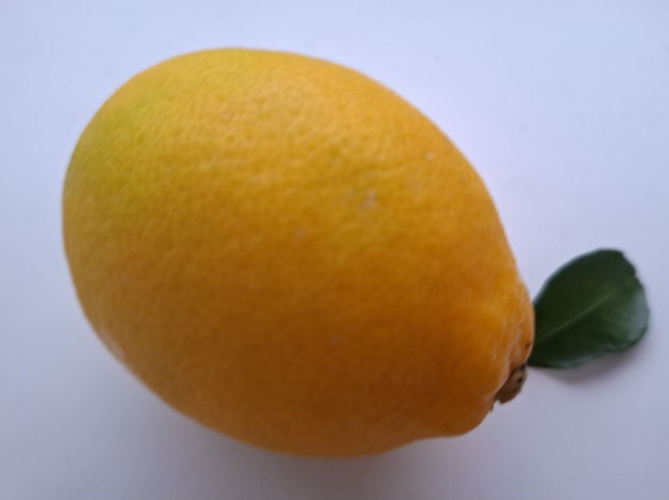 �����: ������ �������� ��� �������� � ���������