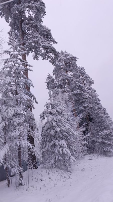 ����� ��� ��� �������: ��� ������� ������� �� �����