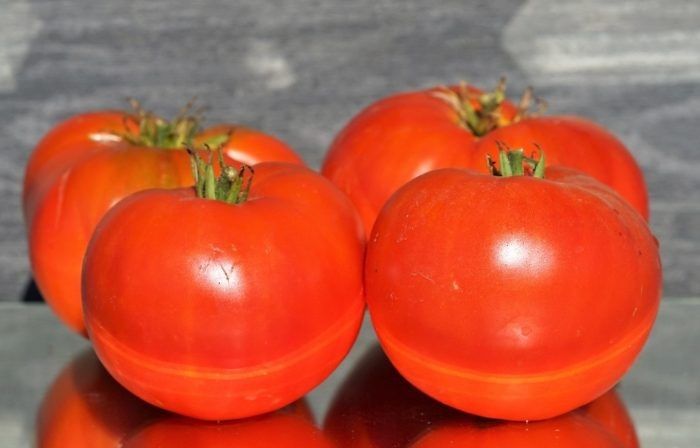 ����� ����������: ��� ��������� ��������� ������ ������� ������