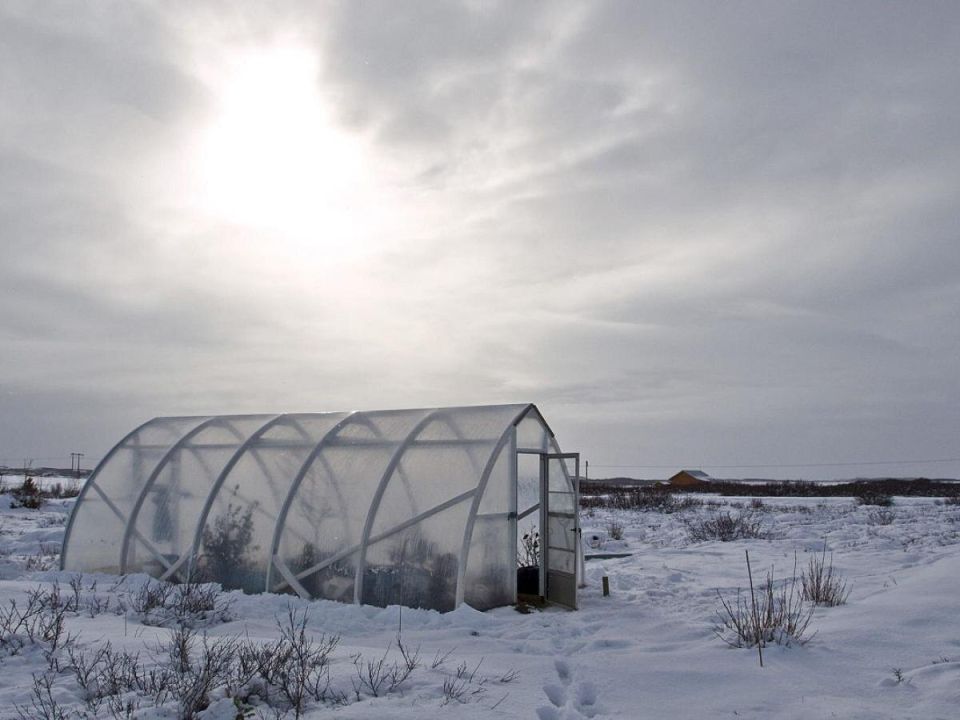 ���������� �������� ����������� � ������ ������: �������� ������� ���