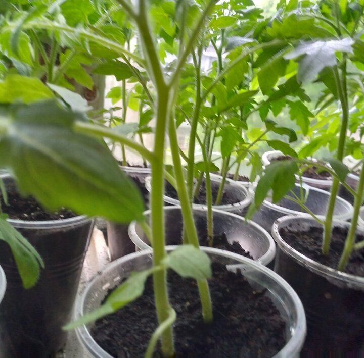 ��� ������ ����������� ������� ������ � ������� �� ������������ ����