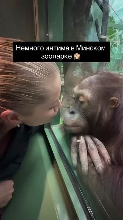  .. @belarusian_silovik