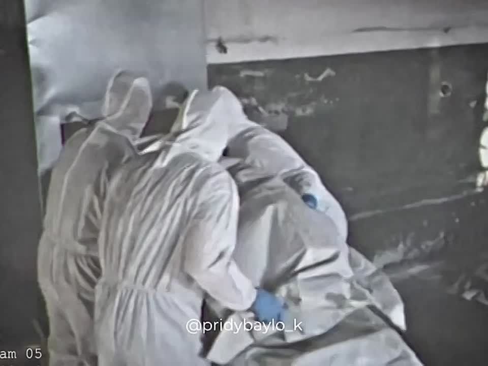 , ,     