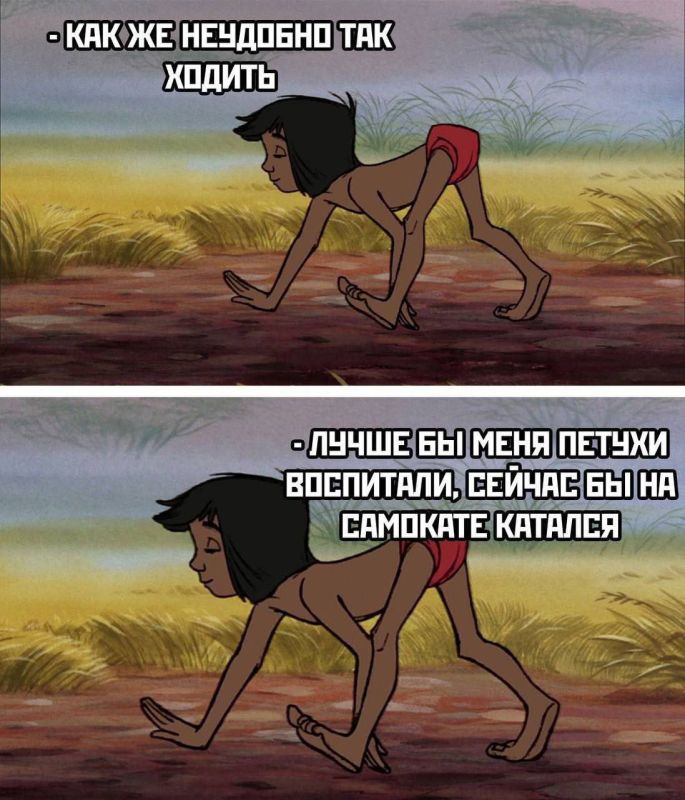  ,  !