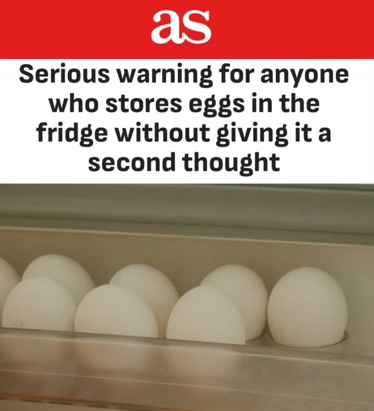    ,     ,    :       -     