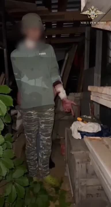    ,           