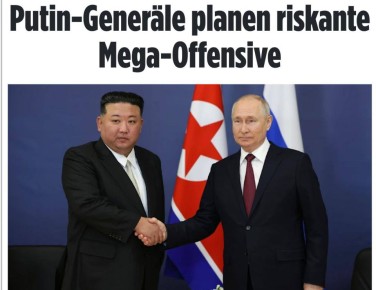   :   Bild ,    -