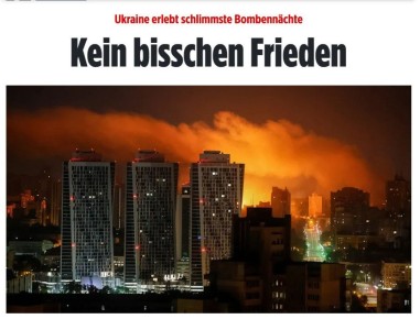   :     Bild