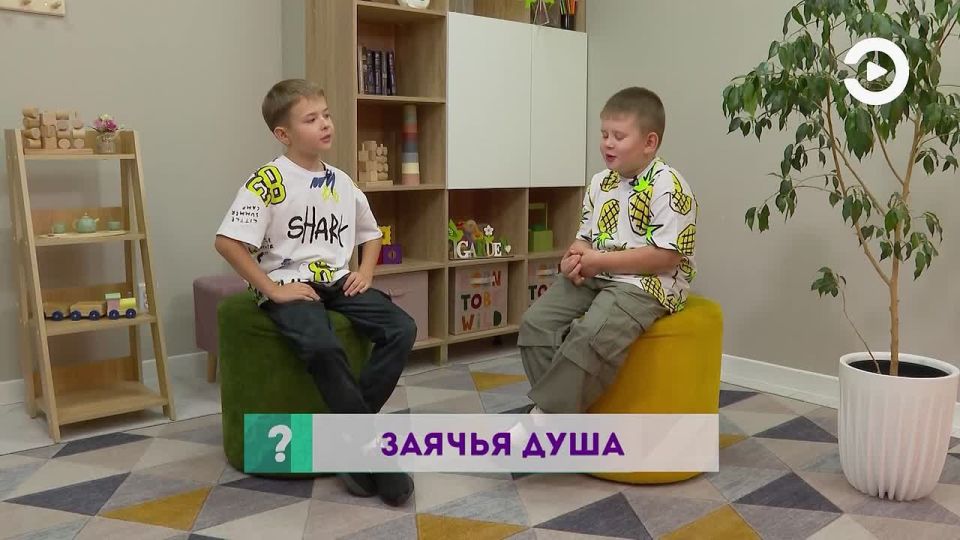   ,   ,     ?        