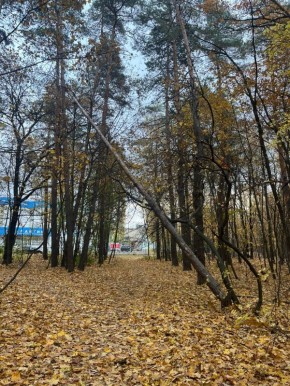   ,  , 13 ,          16:30     