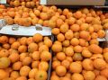 Сезон абхазских мандаринов: как отличить настоящие плоды от подделок