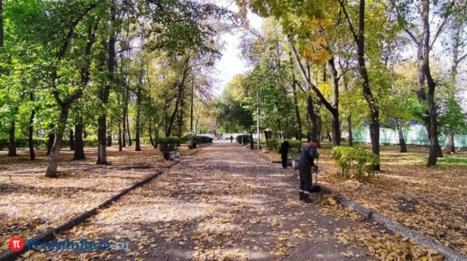 В Пензе в сквере Дзержинского собираются вырубить аварийные деревья, сообщил председатель гордумы Денис Соболев