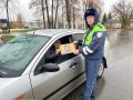 Сотрудники Госавтоинспекции Мокшанского района провели информационно-профилактическую акцию «Автокресло— детям»