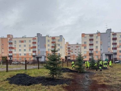 Олег Денисов рассказал об озеленении Зари
