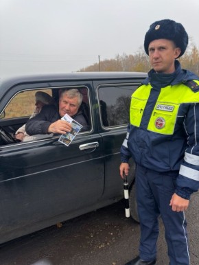 Сотрудники отделения Госавтоинспекции по Тамалинскому району провели профилактическое мероприятие «Обгон - сложный маневр»