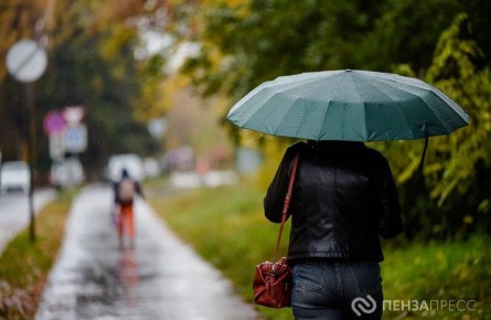В Пензе 26 октября ожидается до +11 градусов и дождь