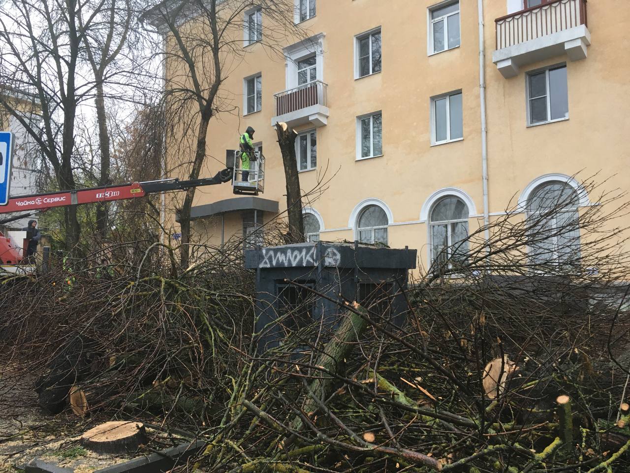 На улице Кирова стало еще меньше деревьев