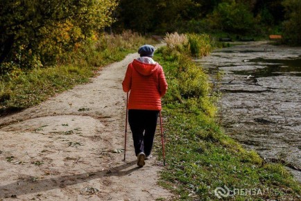 Отделение Социального фонда России по Пензенской области опубликовало график выплат жителям региона пенсий и пособий в ноябре