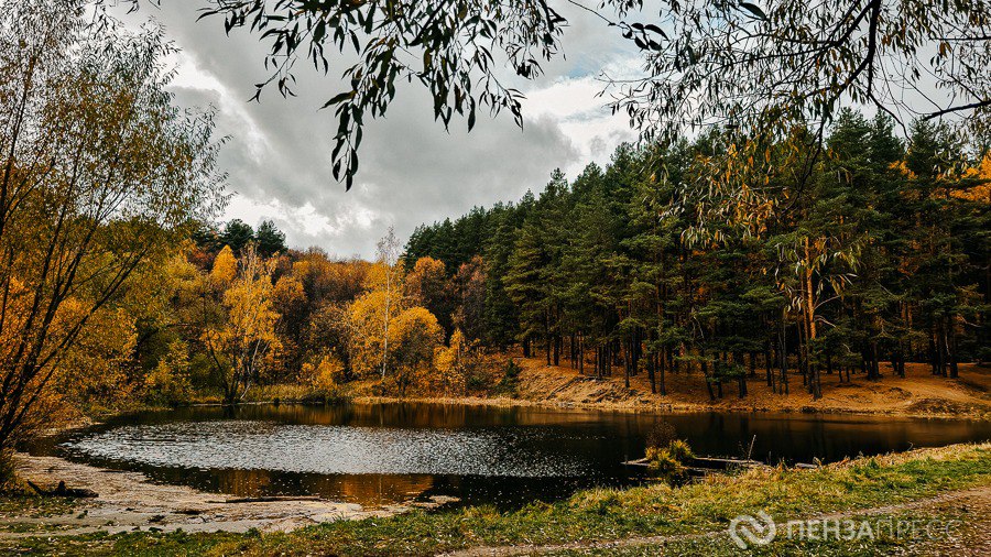 В Пензе 29 октября ожидается до +10 градусов и дождь