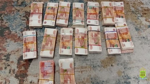 У девяти задержанных полицией Пензы дроповодов изъято 30 млн рублей и 6 дорогостоящих иномарок