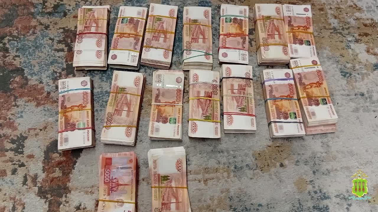 У девяти задержанных полицией Пензы дроповодов изъято 30 млн рублей и 6 дорогостоящих иномарок