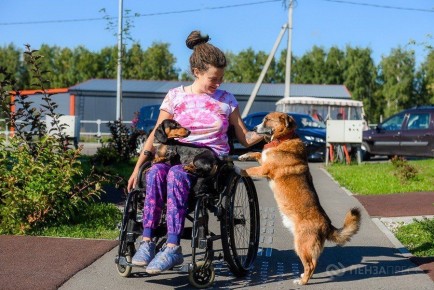 В Пензенской области 20 НКО получат гранты на реализацию социальных инициатив