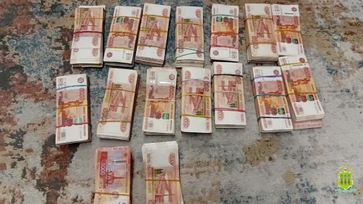 У девяти задержанных полицией Пензы дроповодов изъято 30 млн рублей и 6 дорогостоящих иномарок