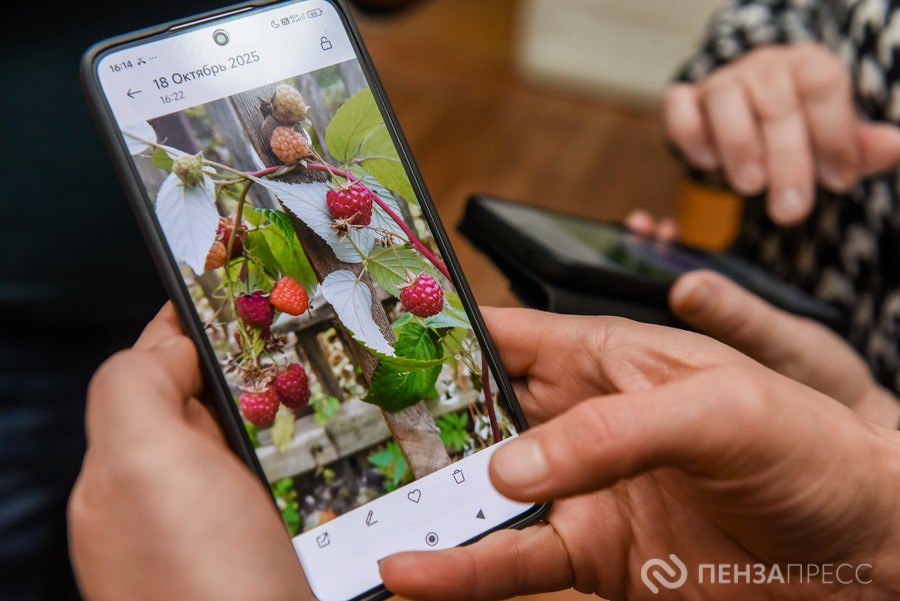 Участники губернаторского проекта «Серебряная Пенза» приступили к занятиям по садоводству в «Университете серебряного возраста» в корпусе областной библиотеки им. Лермонтова на ул. Белинского, 10 Участники губернаторского проекта «Серебряная Пенза» приступили к занятиям по садоводству в «Университете серебряного возраста» в корпусе областной библиотеки им. Лермонтова на ул. Белинского, 10