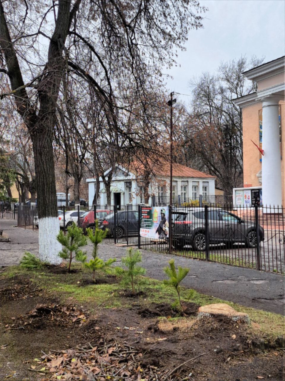 В ЦХИ посадили сосновую аллею в честь главного Деда Мороза города В ЦХИ посадили сосновую аллею в честь главного Деда Мороза города