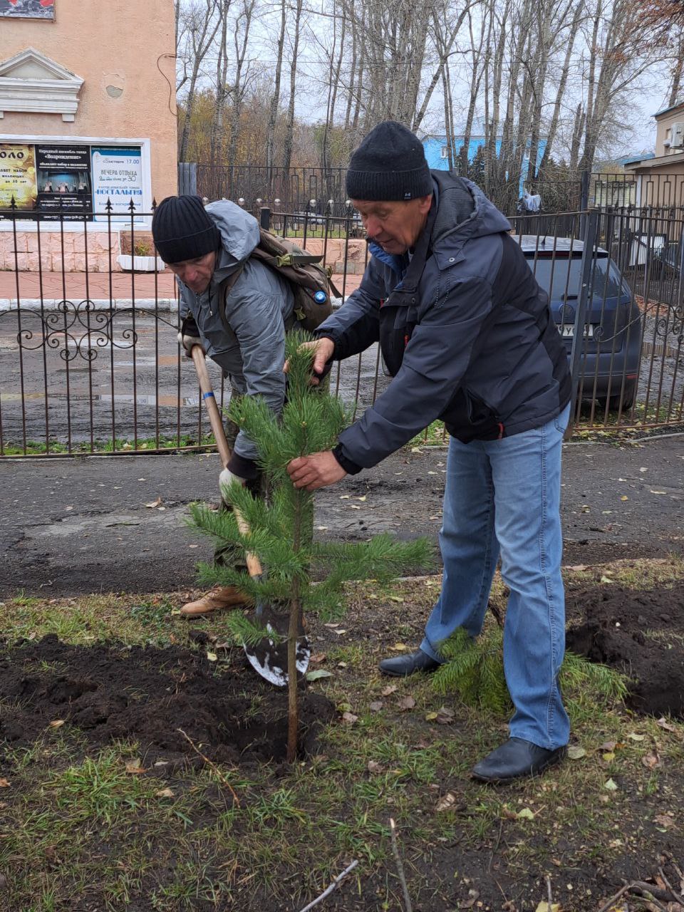 В ЦХИ посадили сосновую аллею в честь главного Деда Мороза города В ЦХИ посадили сосновую аллею в честь главного Деда Мороза города