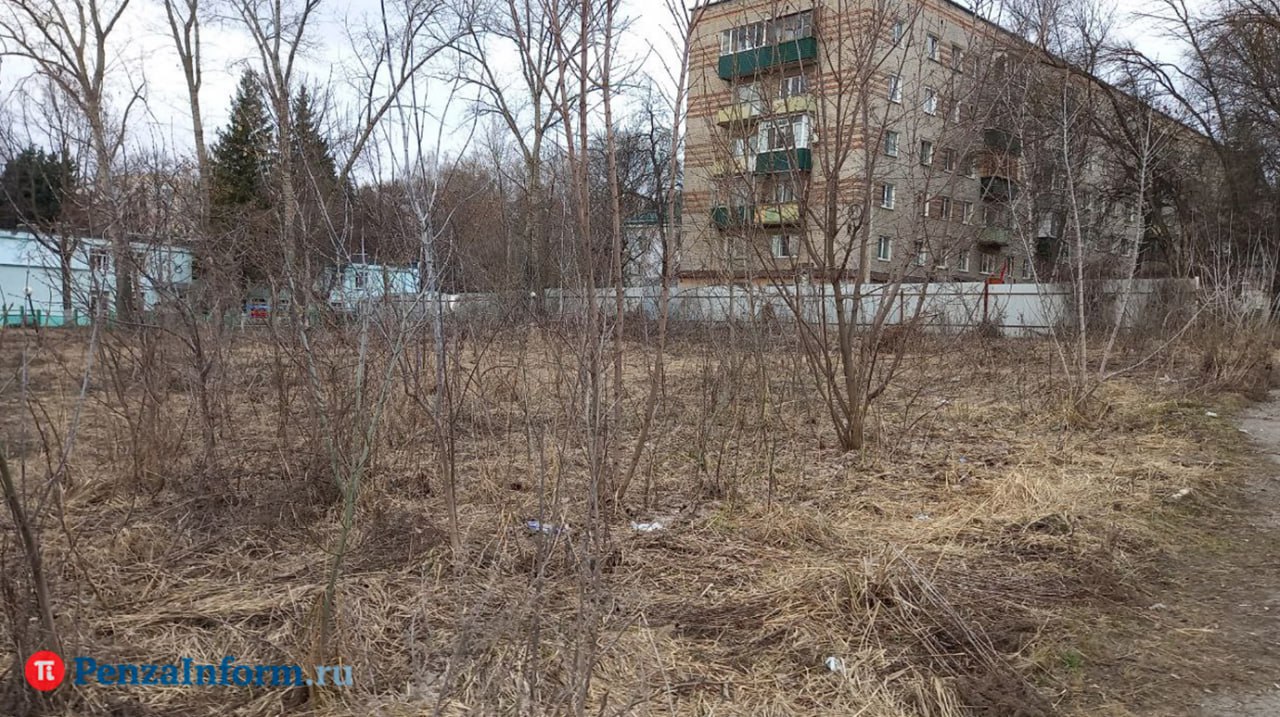 В Пензе согласован архитектурно-строительный облик здания магазина, который построят на улице Свердлова