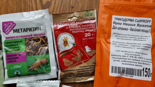 Урожай без химии: реально ли это?