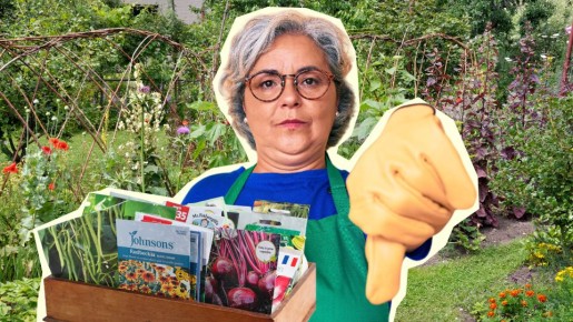 Так сеют семена только новички: не дождетесь даже всходов