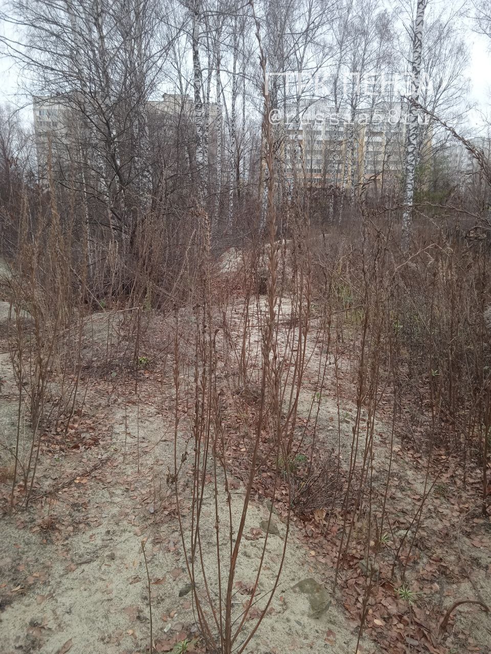 Зачем было ломать?. Таким вопросом о Детской железной дороге задался подписчик нашего Telegram-канала Зачем было ломать?. Таким вопросом о Детской железной дороге задался подписчик нашего Telegram-канала