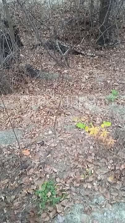 Зачем было ломать?. Таким вопросом о Детской железной дороге задался подписчик нашего Telegram-канала